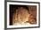 Limestone Cavern Formations-Four Oaks-Framed Photographic Print