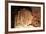 Limestone Cavern Formations-Four Oaks-Framed Photographic Print