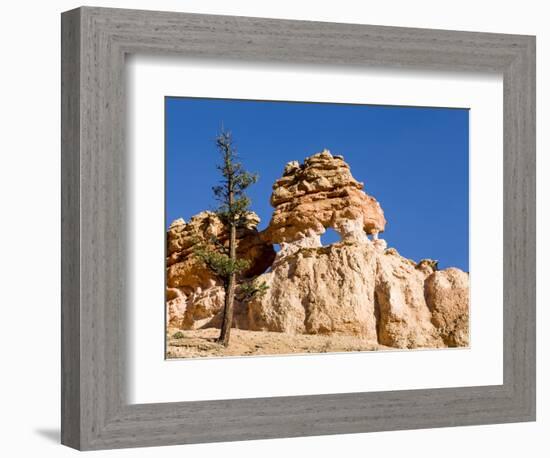 Limestone Formation, Bryce Canyon National Park, Utah, USA-Tom Norring-Framed Photographic Print