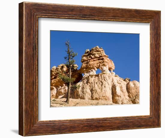 Limestone Formation, Bryce Canyon National Park, Utah, USA-Tom Norring-Framed Photographic Print