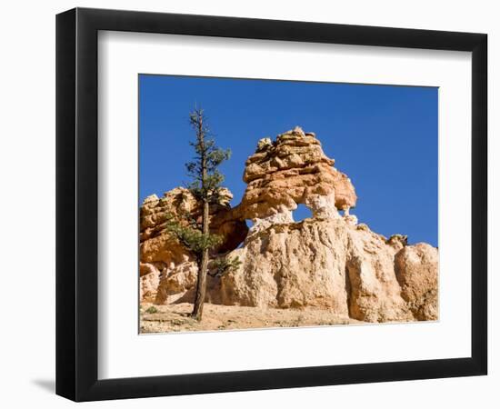 Limestone Formation, Bryce Canyon National Park, Utah, USA-Tom Norring-Framed Photographic Print