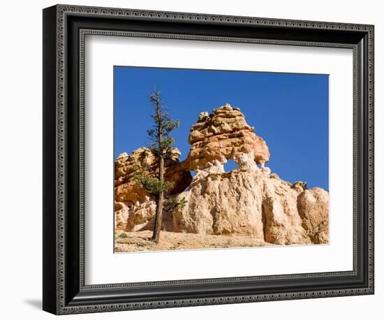 Limestone Formation, Bryce Canyon National Park, Utah, USA-Tom Norring-Framed Photographic Print