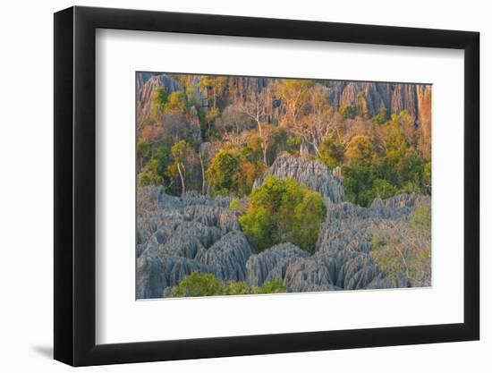 Limestone formations, Tsingy de Bemaraha Strict Nature Reserve, Madagascar-Art Wolfe-Framed Photographic Print