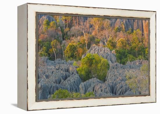 Limestone formations, Tsingy de Bemaraha Strict Nature Reserve, Madagascar-Art Wolfe-Framed Premier Image Canvas