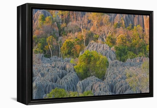 Limestone formations, Tsingy de Bemaraha Strict Nature Reserve, Madagascar-Art Wolfe-Framed Premier Image Canvas