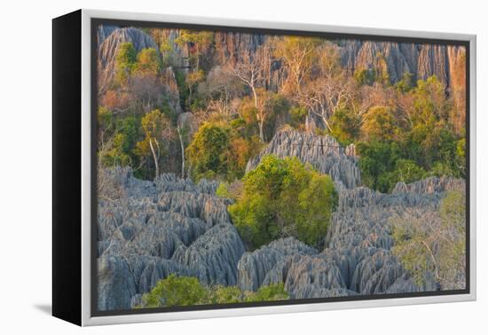 Limestone formations, Tsingy de Bemaraha Strict Nature Reserve, Madagascar-Art Wolfe-Framed Premier Image Canvas