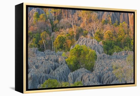 Limestone formations, Tsingy de Bemaraha Strict Nature Reserve, Madagascar-Art Wolfe-Framed Premier Image Canvas
