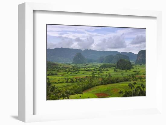 Limestone Hill, Farming Land in Vinales Valley, UNESCO World Heritage Site, Cuba-Keren Su-Framed Photographic Print