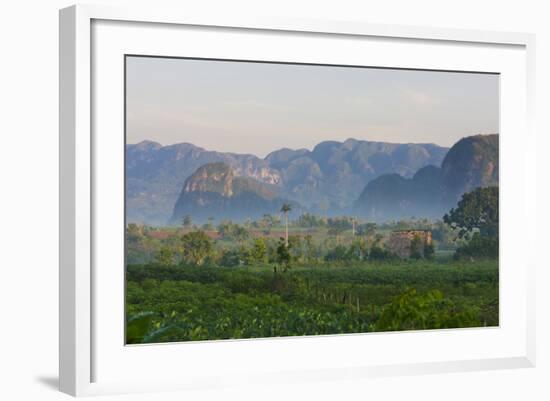 Limestone Hill, Farmland, Vinales Valley, UNESCO World Heritage Site, Cuba-Keren Su-Framed Photographic Print