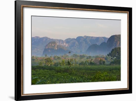 Limestone Hill, Farmland, Vinales Valley, UNESCO World Heritage Site, Cuba-Keren Su-Framed Photographic Print