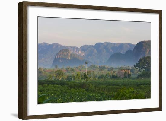 Limestone Hill, Farmland, Vinales Valley, UNESCO World Heritage Site, Cuba-Keren Su-Framed Photographic Print