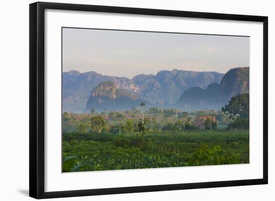 Limestone Hill, Farmland, Vinales Valley, UNESCO World Heritage Site, Cuba-Keren Su-Framed Photographic Print