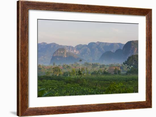 Limestone Hill, Farmland, Vinales Valley, UNESCO World Heritage Site, Cuba-Keren Su-Framed Photographic Print