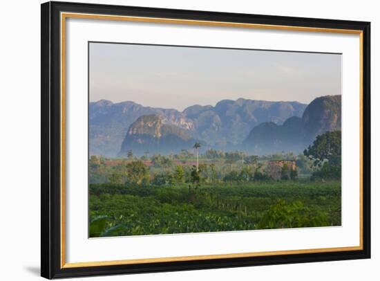 Limestone Hill, Farmland, Vinales Valley, UNESCO World Heritage Site, Cuba-Keren Su-Framed Photographic Print