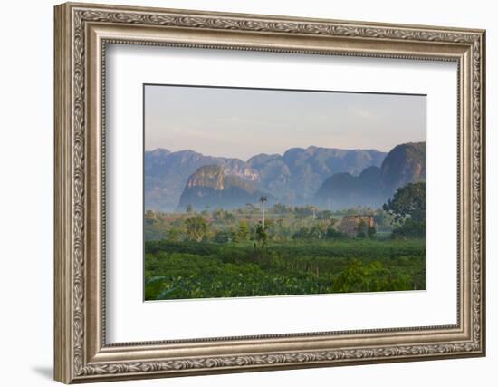 Limestone Hill, Farmland, Vinales Valley, UNESCO World Heritage Site, Cuba-Keren Su-Framed Photographic Print