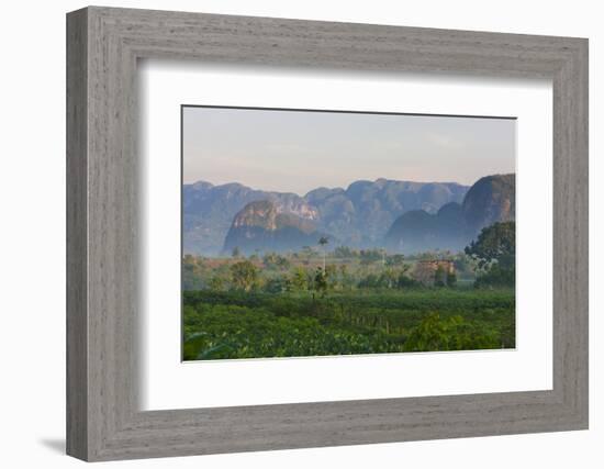 Limestone Hill, Farmland, Vinales Valley, UNESCO World Heritage Site, Cuba-Keren Su-Framed Photographic Print