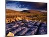 Limestone Landscape of the Burren Near Fanore, Burren, County Clare, Ireland-Gareth McCormack-Mounted Photographic Print