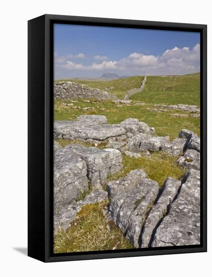 Limestone Pavement and Dry Stone Wall Above Settle, Yorkshire Dales National Park, England-Neale Clark-Framed Premier Image Canvas