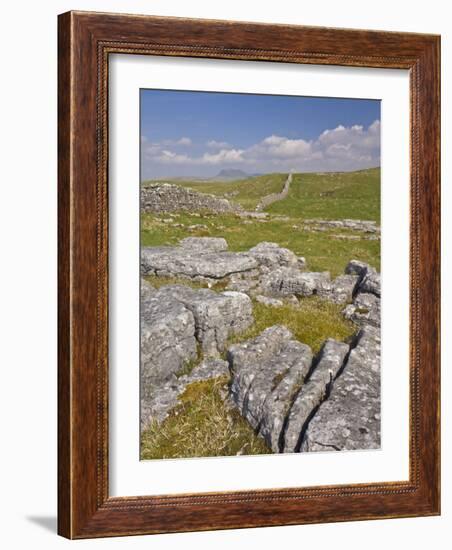 Limestone Pavement and Dry Stone Wall Above Settle, Yorkshire Dales National Park, England-Neale Clark-Framed Photographic Print