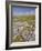 Limestone Pavement and Dry Stone Wall Above Settle, Yorkshire Dales National Park, England-Neale Clark-Framed Photographic Print