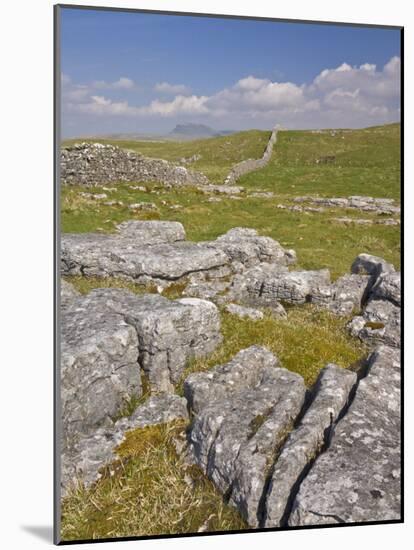 Limestone Pavement and Dry Stone Wall Above Settle, Yorkshire Dales National Park, England-Neale Clark-Mounted Photographic Print