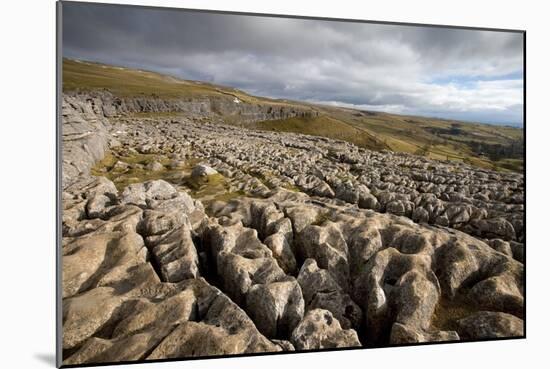 Limestone Pavement, Yorkshire-Bob Gibbons-Mounted Photographic Print