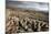 Limestone Pavement, Yorkshire-Bob Gibbons-Mounted Photographic Print