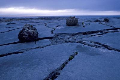 Limestone Pavements in the Burren (Photo) Giclee Print | Art.com