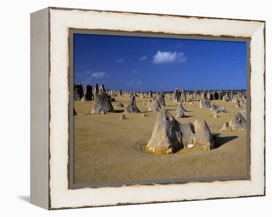 Limestone Pillars in the Pinnacles Desert, Nambung National Park, Western Australia, Australia-Steve & Ann Toon-Framed Premier Image Canvas