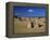 Limestone Pillars in the Pinnacles Desert, Nambung National Park, Western Australia, Australia-Steve & Ann Toon-Framed Premier Image Canvas