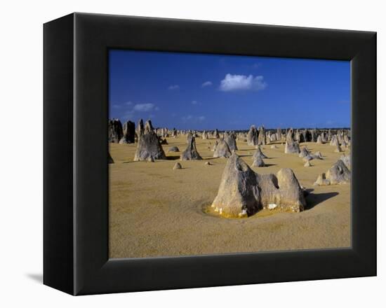 Limestone Pillars in the Pinnacles Desert, Nambung National Park, Western Australia, Australia-Steve & Ann Toon-Framed Premier Image Canvas