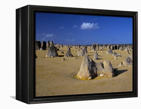 Limestone Pillars in the Pinnacles Desert, Nambung National Park, Western Australia, Australia-Steve & Ann Toon-Framed Premier Image Canvas