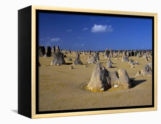 Limestone Pillars in the Pinnacles Desert, Nambung National Park, Western Australia, Australia-Steve & Ann Toon-Framed Premier Image Canvas