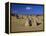 Limestone Pillars in the Pinnacles Desert, Nambung National Park, Western Australia, Australia-Steve & Ann Toon-Framed Premier Image Canvas