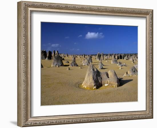 Limestone Pillars in the Pinnacles Desert, Nambung National Park, Western Australia, Australia-Steve & Ann Toon-Framed Photographic Print