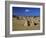 Limestone Pillars in the Pinnacles Desert, Nambung National Park, Western Australia, Australia-Steve & Ann Toon-Framed Photographic Print