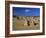 Limestone Pillars in the Pinnacles Desert, Nambung National Park, Western Australia, Australia-Steve & Ann Toon-Framed Photographic Print