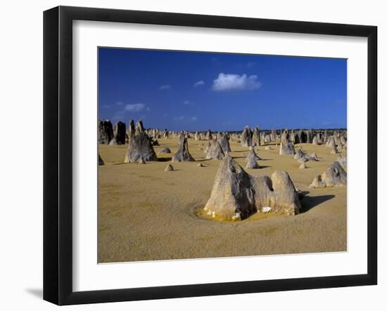 Limestone Pillars in the Pinnacles Desert, Nambung National Park, Western Australia, Australia-Steve & Ann Toon-Framed Photographic Print