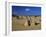 Limestone Pillars in the Pinnacles Desert, Nambung National Park, Western Australia, Australia-Steve & Ann Toon-Framed Photographic Print