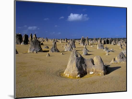 Limestone Pillars in the Pinnacles Desert, Nambung National Park, Western Australia, Australia-Steve & Ann Toon-Mounted Photographic Print