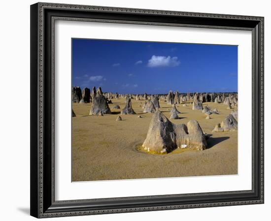 Limestone Pillars in the Pinnacles Desert, Nambung National Park, Western Australia, Australia-Steve & Ann Toon-Framed Photographic Print