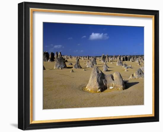 Limestone Pillars in the Pinnacles Desert, Nambung National Park, Western Australia, Australia-Steve & Ann Toon-Framed Photographic Print
