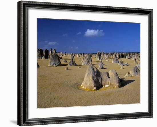 Limestone Pillars in the Pinnacles Desert, Nambung National Park, Western Australia, Australia-Steve & Ann Toon-Framed Photographic Print