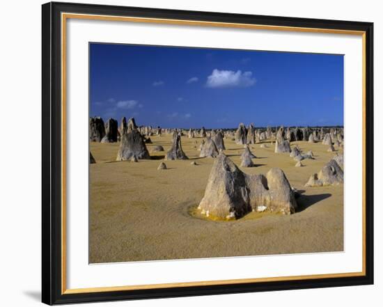 Limestone Pillars in the Pinnacles Desert, Nambung National Park, Western Australia, Australia-Steve & Ann Toon-Framed Photographic Print