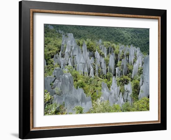 Limestone Pinnacles on Mount Api, Gunung Mulu National Park, Sarawak, Island of Borneo, Malaysia-David Poole-Framed Photographic Print