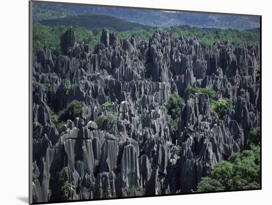 Limestone Stone Forest, Near Kunming, Yunnan Province, China-Occidor Ltd-Mounted Photographic Print