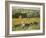 Limetz Meadow, 1887-Claude Monet-Framed Giclee Print