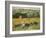 Limetz Meadow, 1887-Claude Monet-Framed Giclee Print