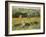 Limetz Meadow, 1887-Claude Monet-Framed Giclee Print