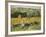 Limetz Meadow, 1887-Claude Monet-Framed Giclee Print